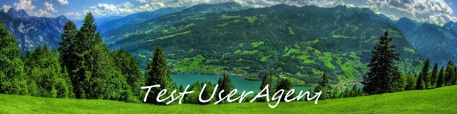 Test UserAgent